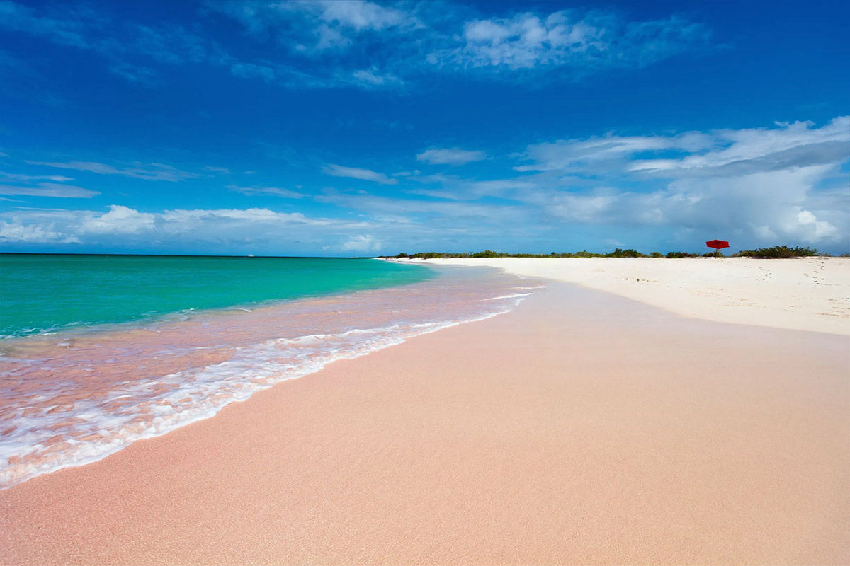 Pink Sand Beach, Barbuda